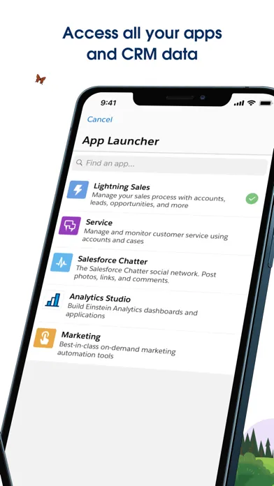 Salesforce — capture 4