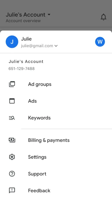 Google Ads — capture 4