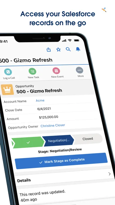 Salesforce — capture 3