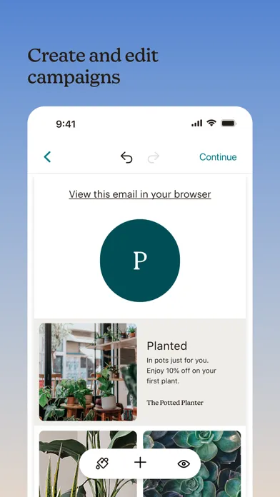 Mailchimp — capture 4