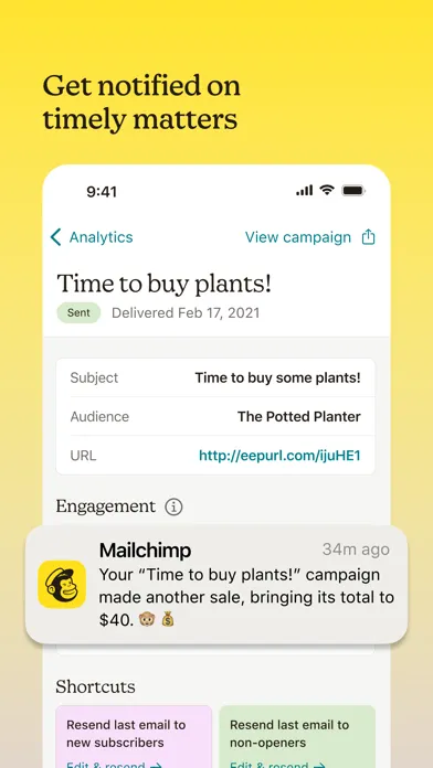 Mailchimp — capture 1