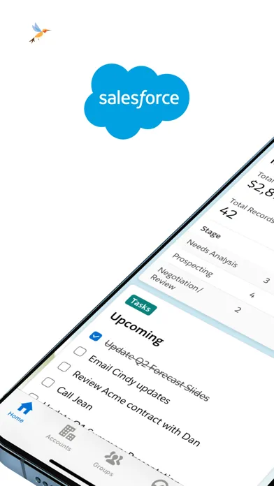 Salesforce — capture 1