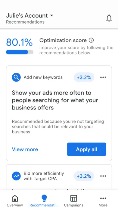 Google Ads — capture 2