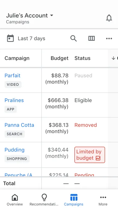 Google Ads — capture 3