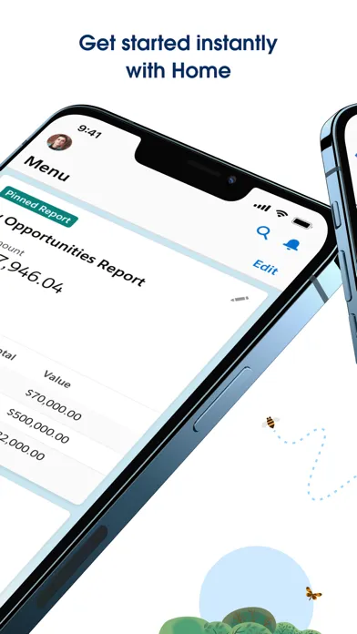 Salesforce — capture 2